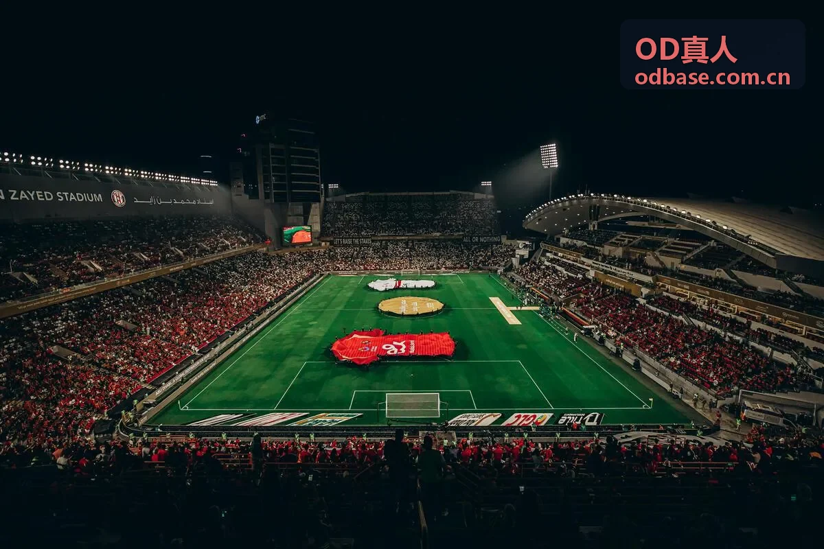 OD真人文化变革管理